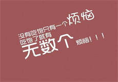 麻衣神算子有几只魑
